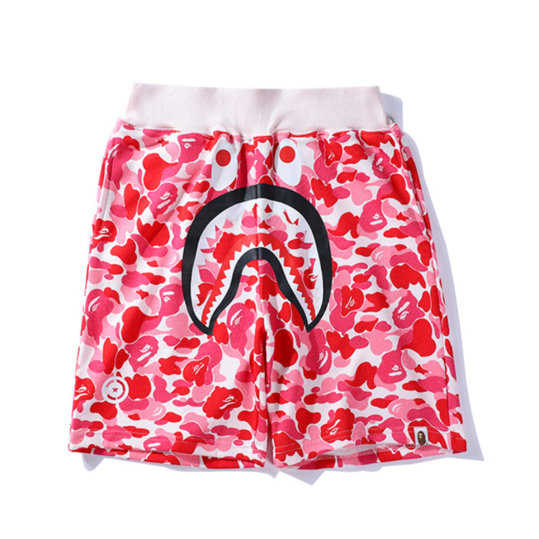 Ensemble Bape