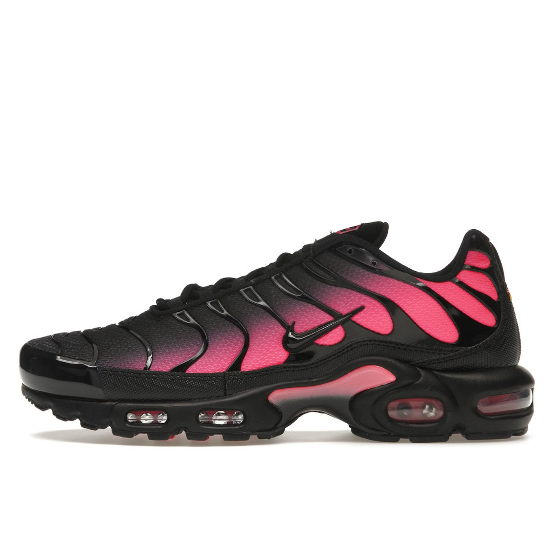 TN Noir Rose Gradient
