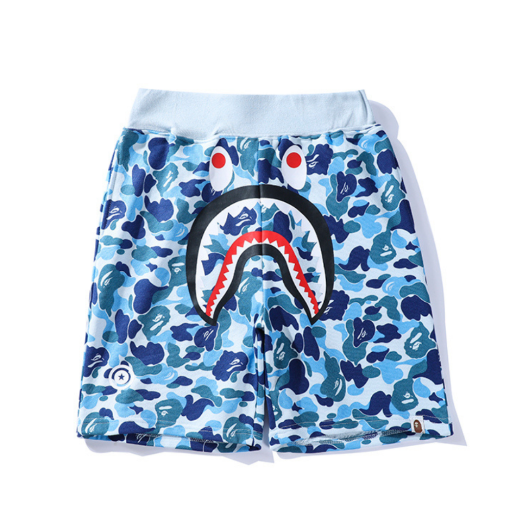 Ensemble Bape