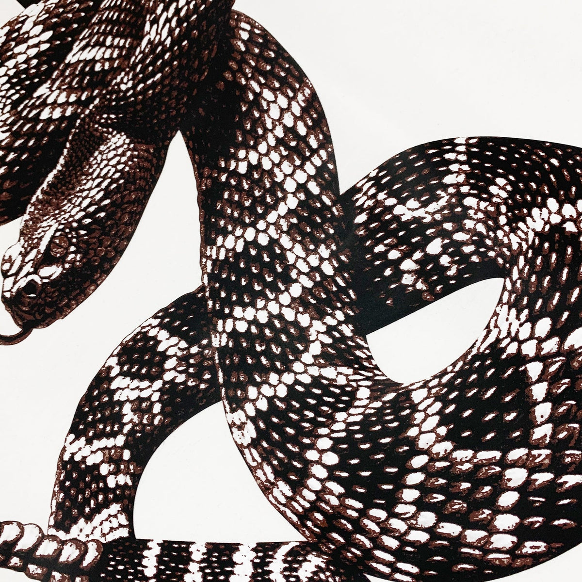 T-Shirt Amr Snake